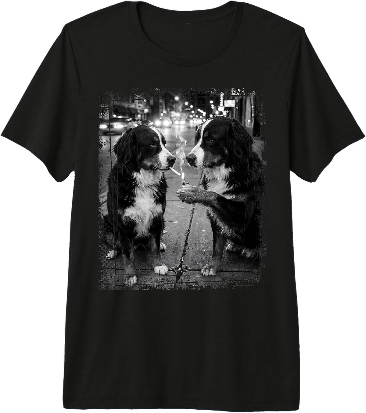 Urban Berner Paws