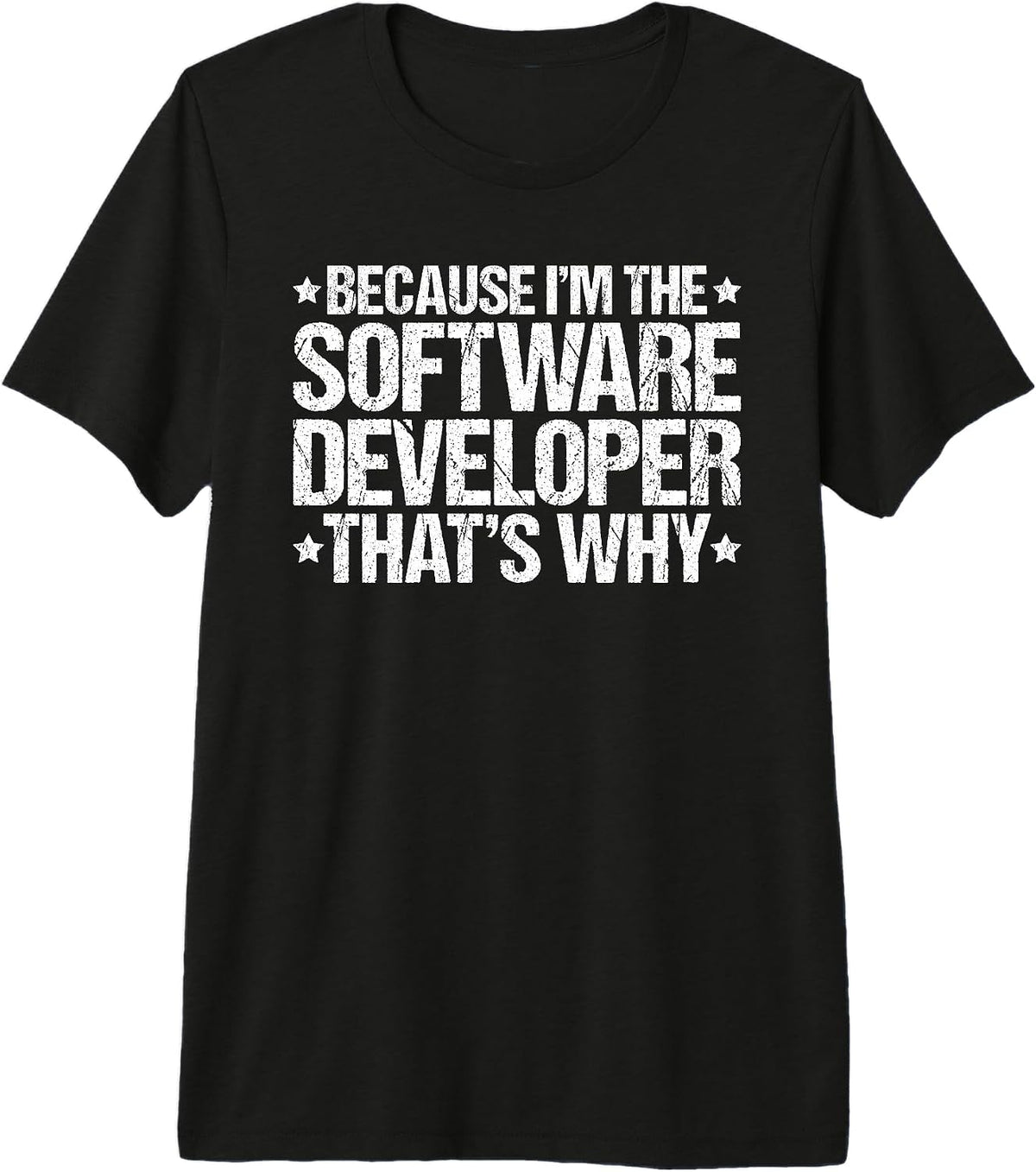 Software Developer Designs