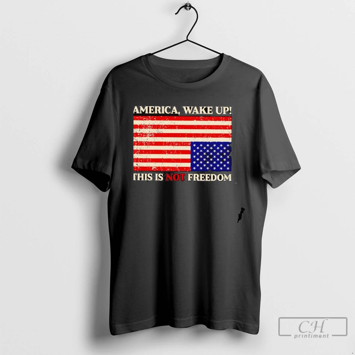 America Wake Up This Is Not Freedom American Flag