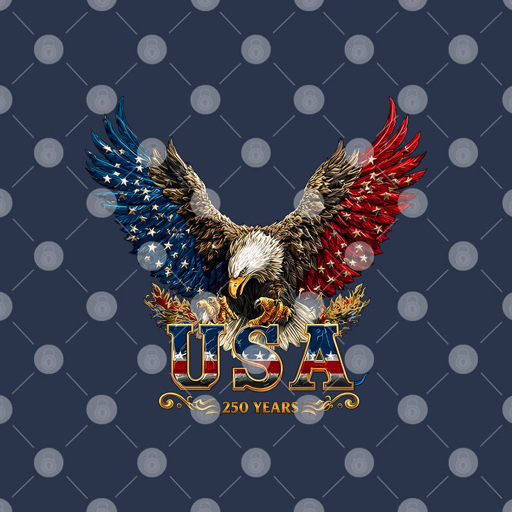 American Eagle USA 250 Years Patriotic T Shirt