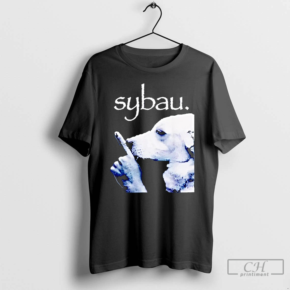 Classic Sybau Dog Meme