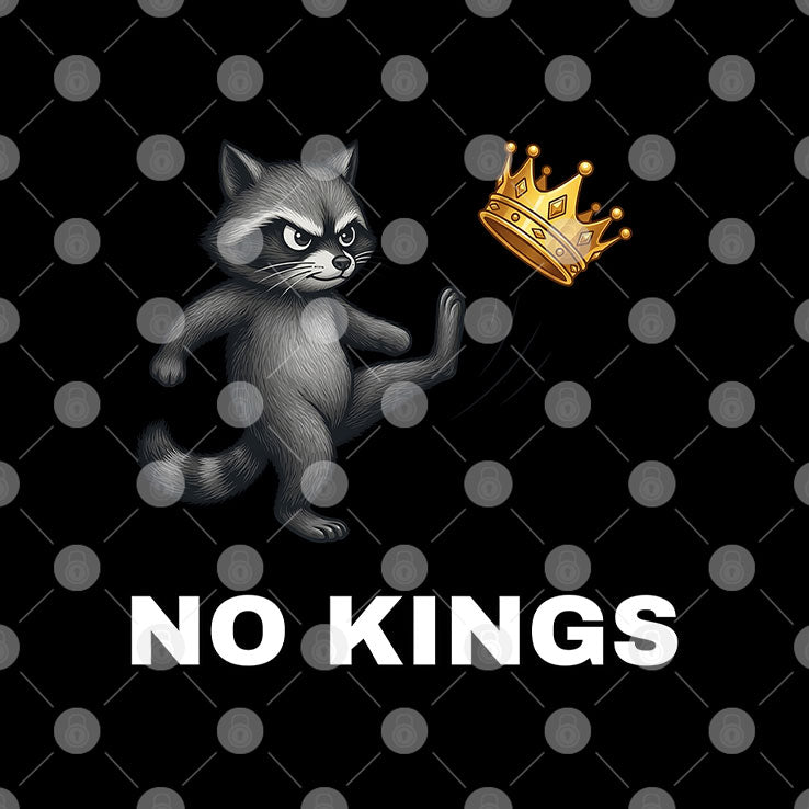 Cute Raccoon No Kings In America T Shirt