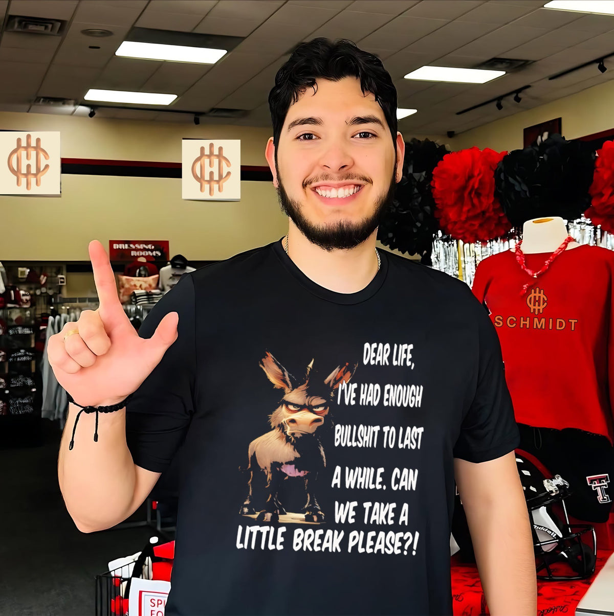 Dear life I’ve had enough bullshit to last a while can we take a little break please donkey shirt