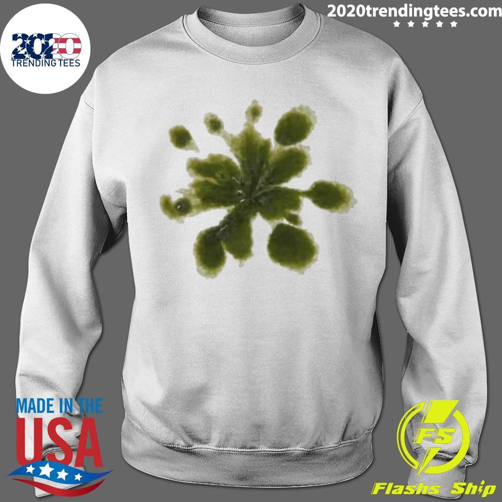 Micrasterias Desmidiaceae Zygnematales Weather Tomorrow 2026 Shirt