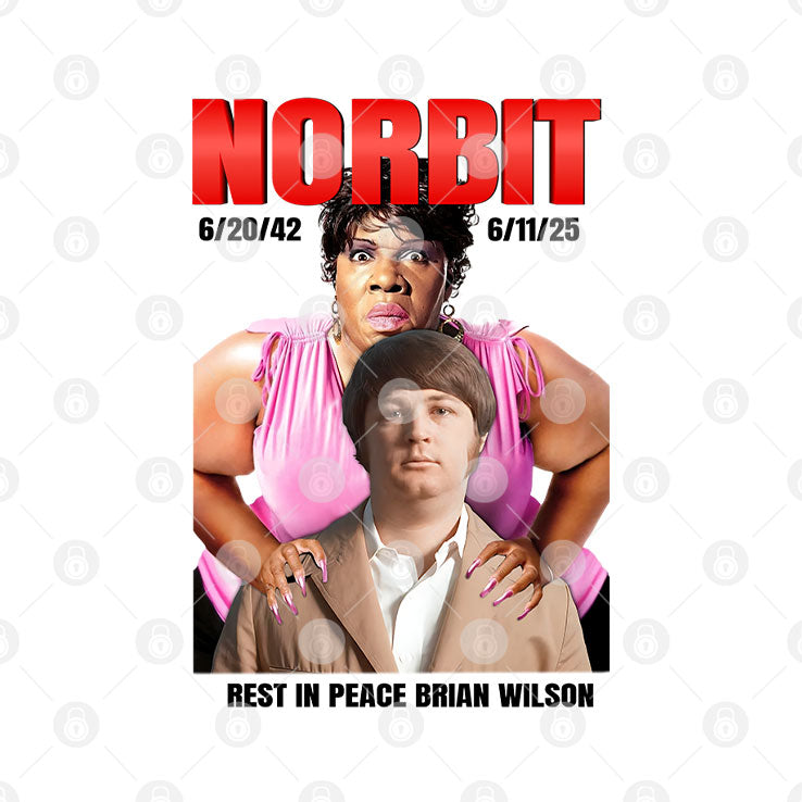 Norbit Rest In Peace Brian Wilson T Shirt
