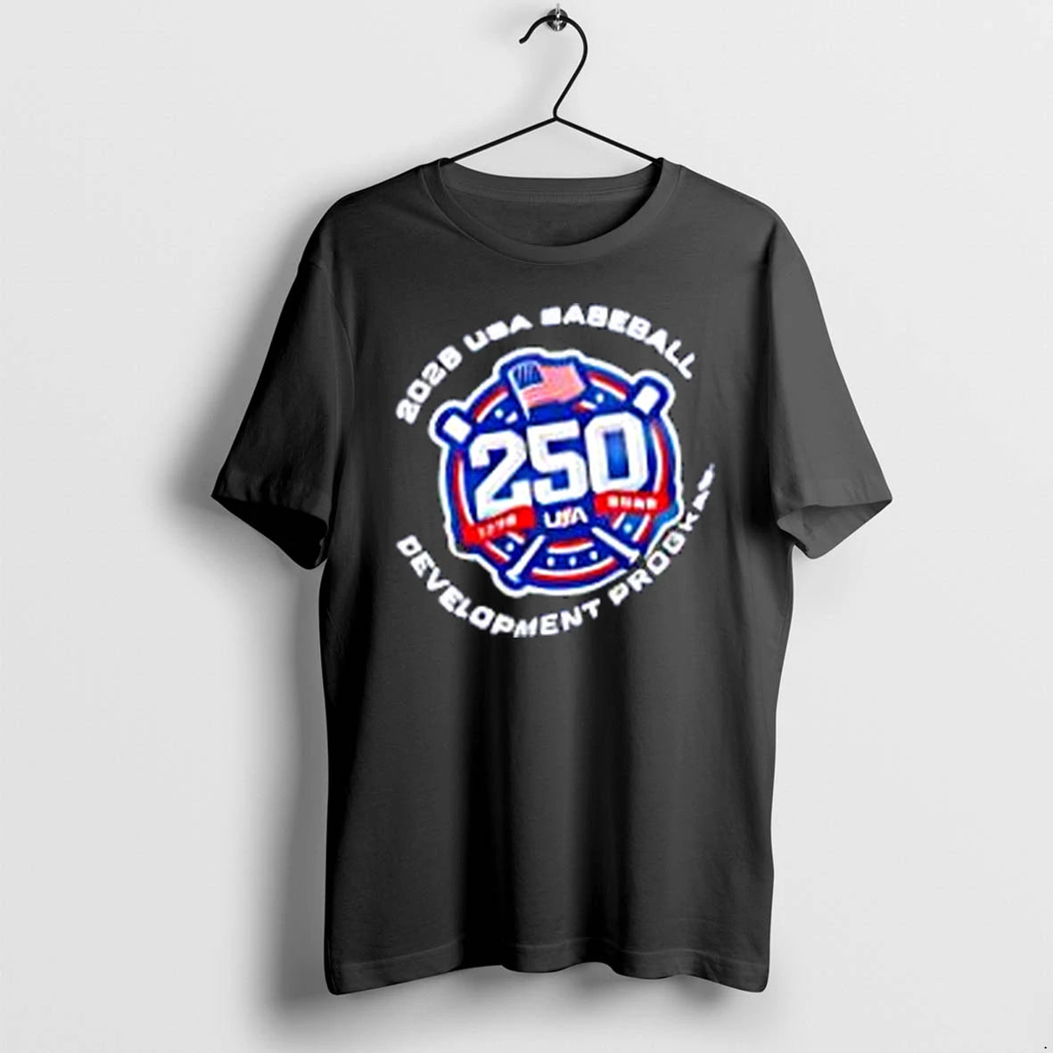 Officials 2028 Usa Baseball Development Program 250 Merch T Shirt Sweater