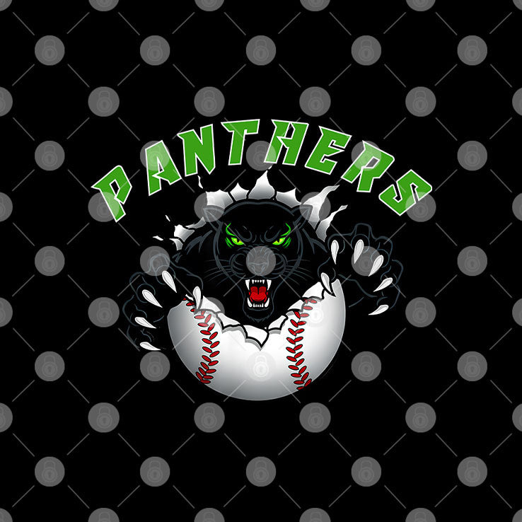 Panthers Youth Baseball T Shirt