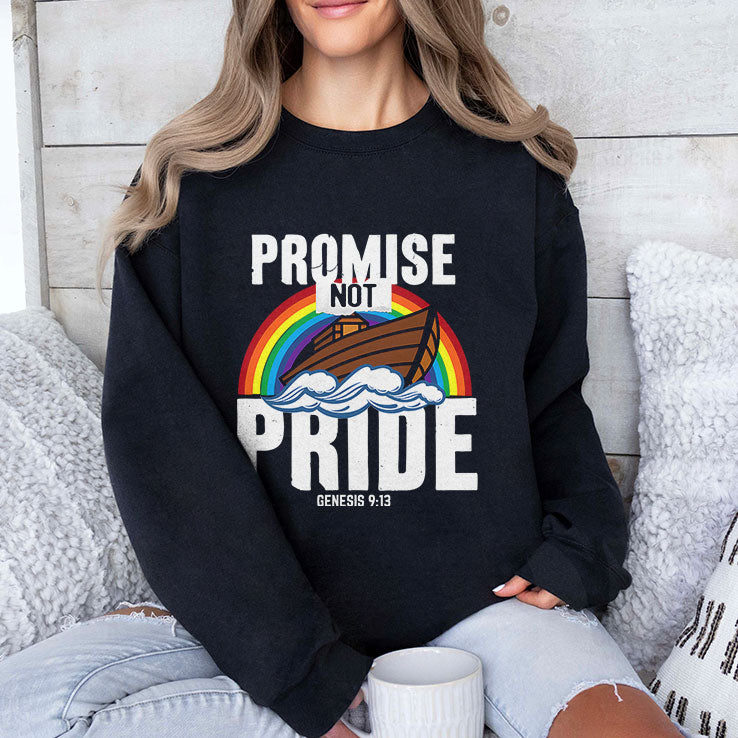 Rainbow Promise Not Pride Genesis 9 13 T Shirt