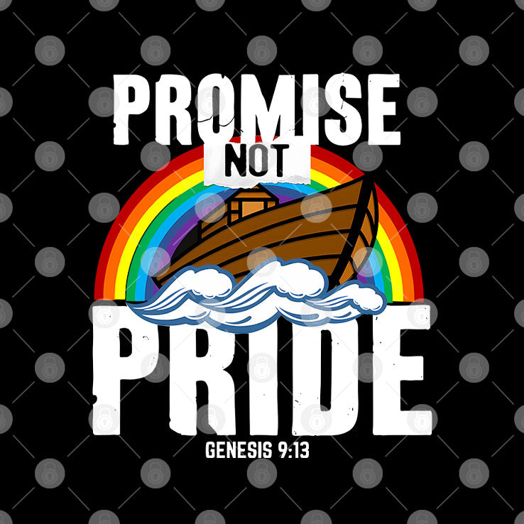 Rainbow Promise Not Pride Genesis 9 13 T Shirt
