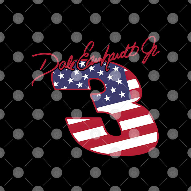 Raise Hell Praise Dale American Spirit Vintage Racing Legend Patriotic 4th of July T Shirt