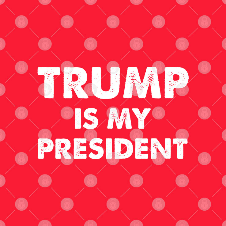 Robert DeNiro Trump Is My President Shirt