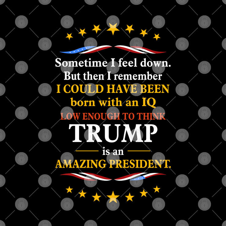 Sometimes I Feel Down But Then I Remember I Could Have Been Born With An IQ Low Enough To Think Trump Is An Amazing President Shirt
