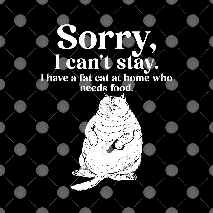 Sorry I Can’t Stay I Have A Fat Cat At Home Who Needs Food T Shirt