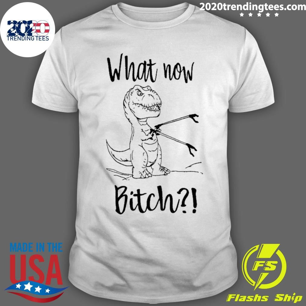 T-rex What Now Bitch Shirt