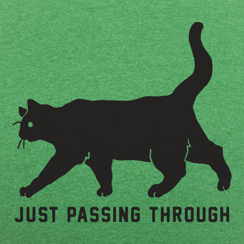 Black Cat Crossing