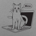 Cat Conquers Laptop