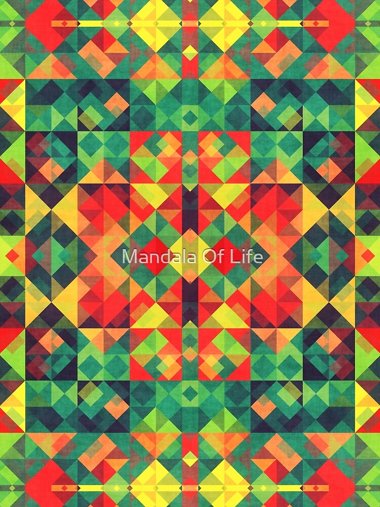 Playful Geometry 3 by Mandala Of Life