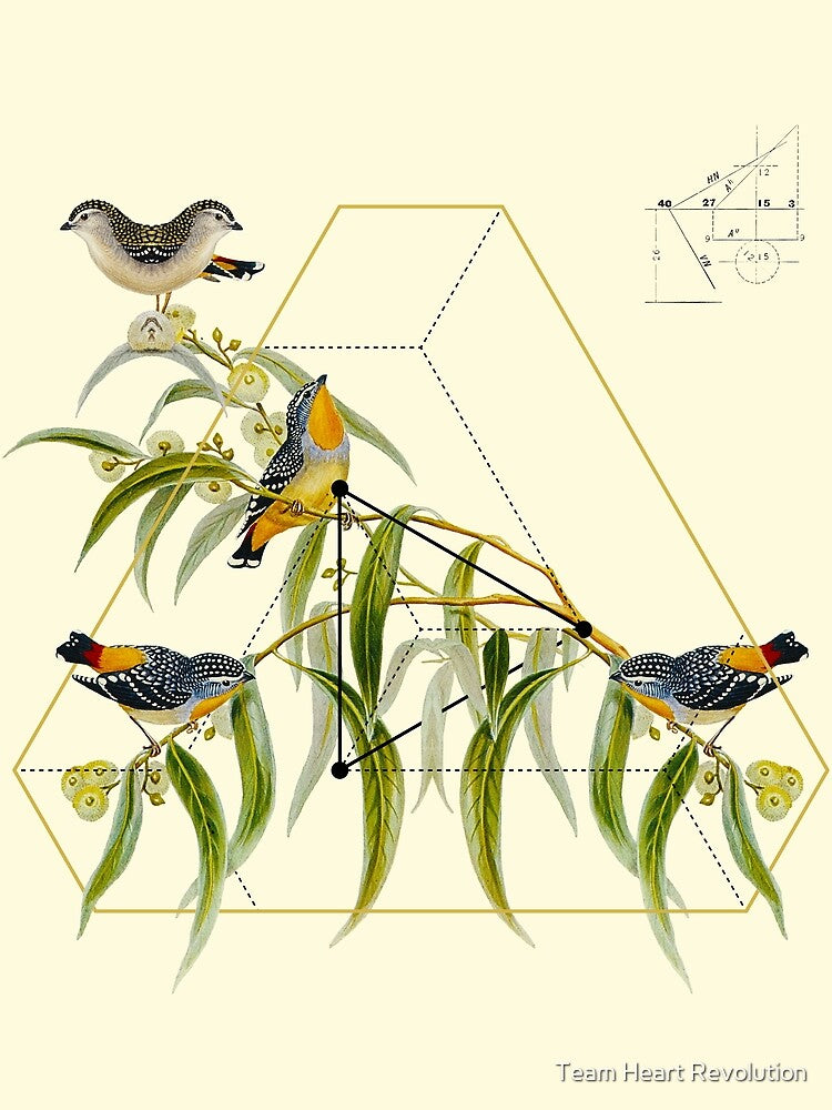 Sacred Geometry of Nature & Birds of Life 3 by Team Heart Revolution