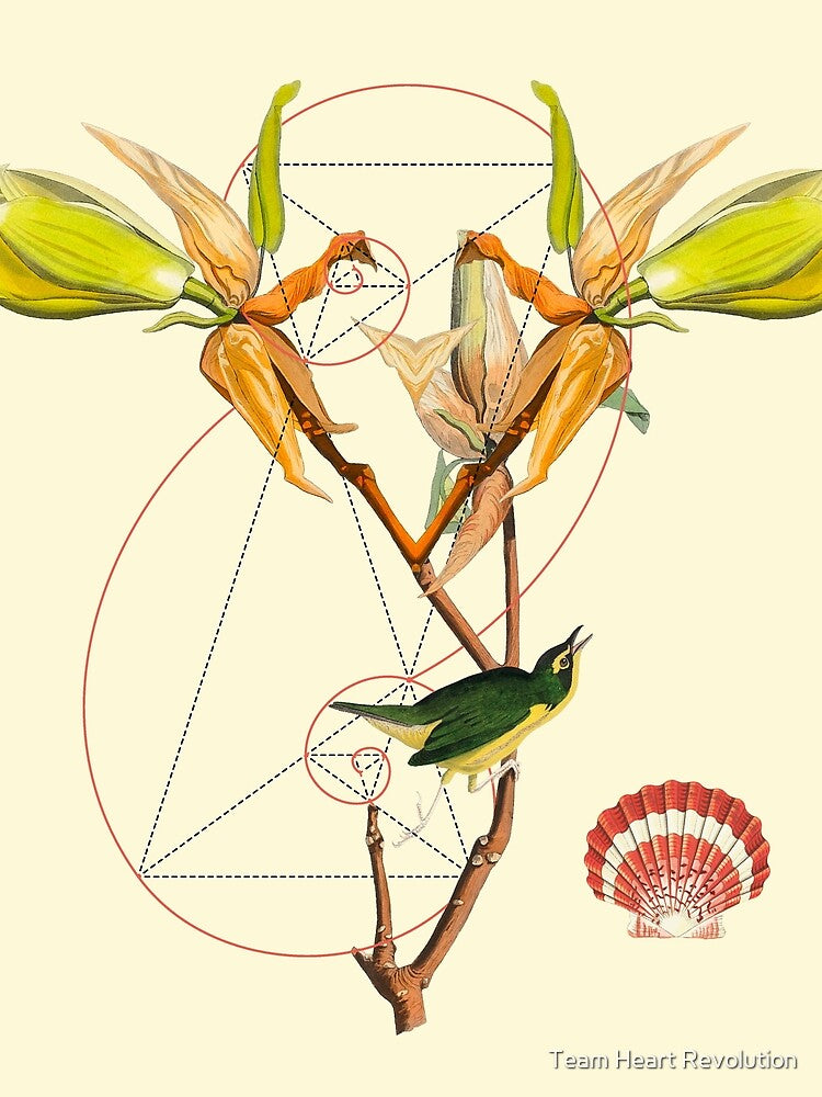 Sacred Geometry of Nature & Birds of Life 2 by Team Heart Revolution