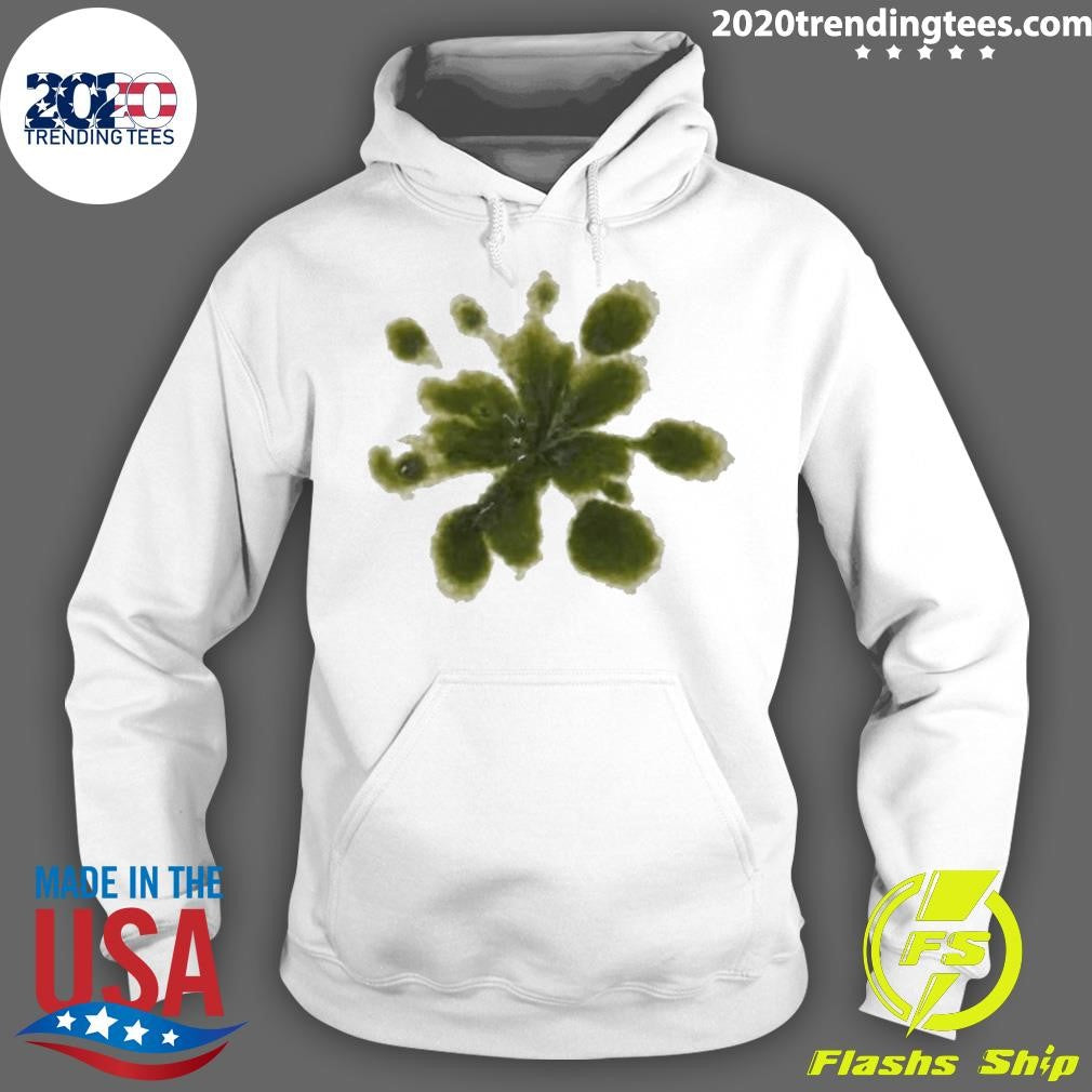 Micrasterias Desmidiaceae Zygnematales Weather Tomorrow 2026 Shirt