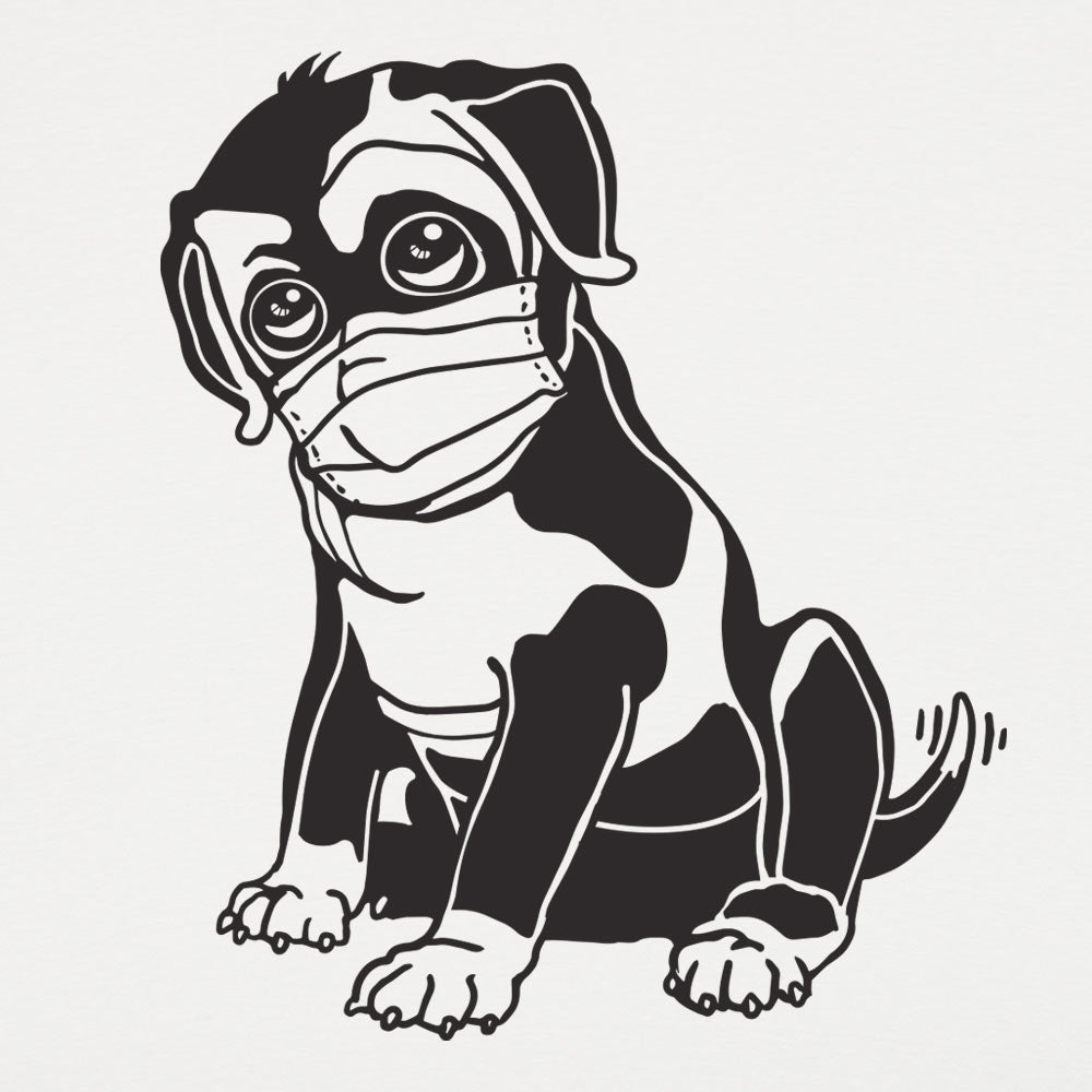 Quarantine Dog