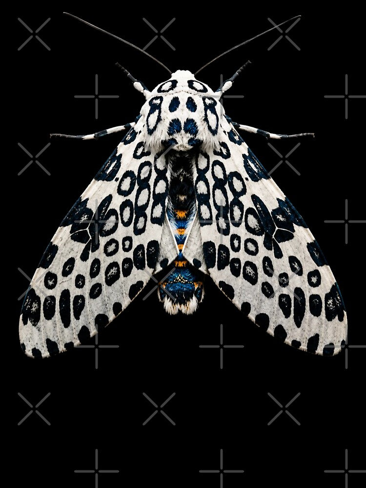 Giant Leopard Moth Hypercompe scribonia Realistic Style by Harpagann
