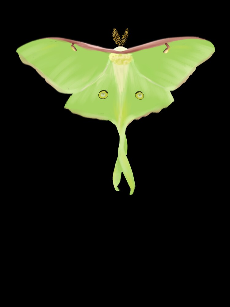 Luna Moth by cryptidartworks