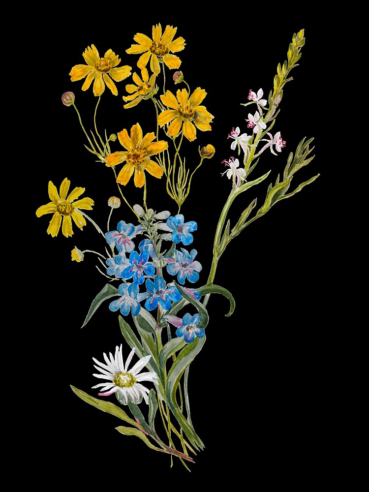 Yellow, White And Blue Flower Bouquet Illustration by ClassicRose
