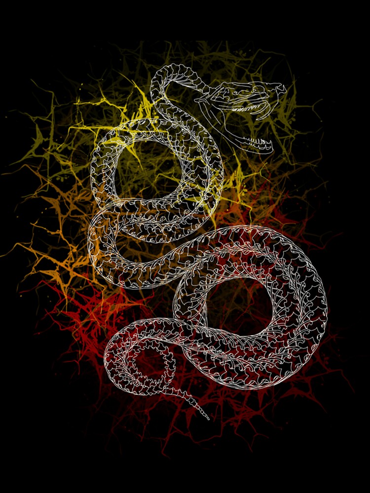 Gothic Viper Snake And Fire Abstract Art by dinnakelby