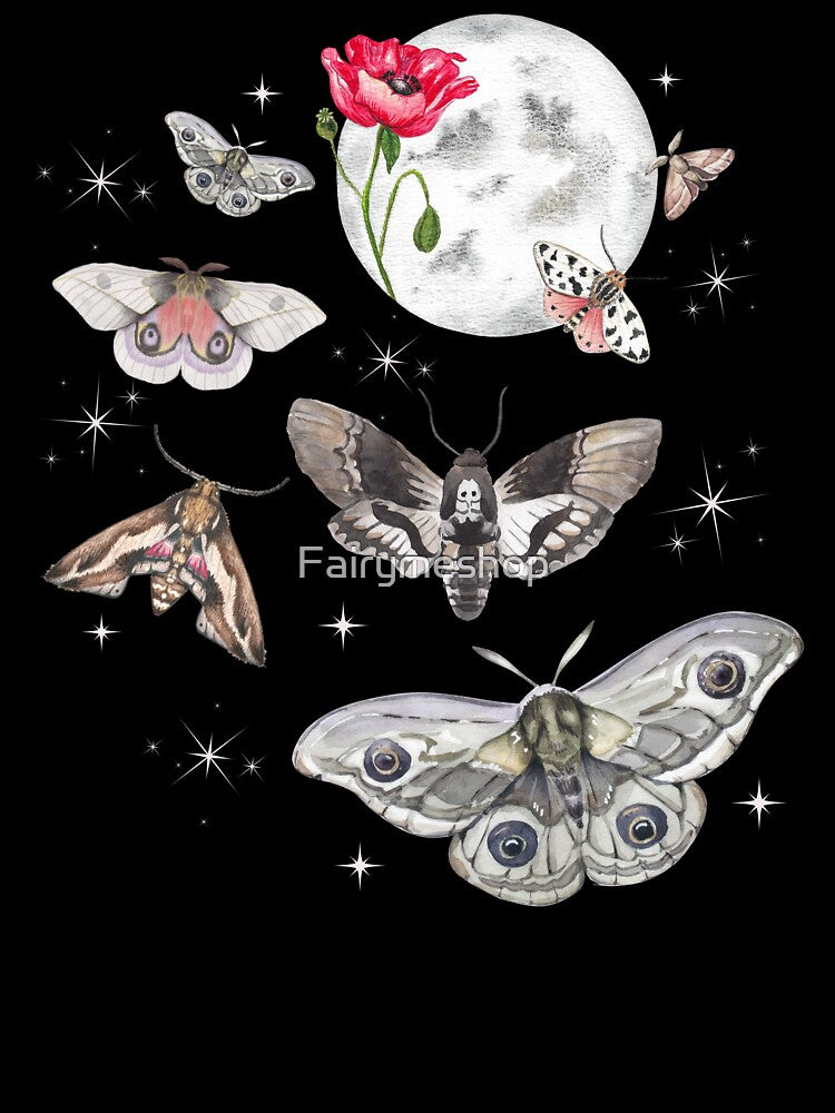 Moon Moth by Fairymeshop