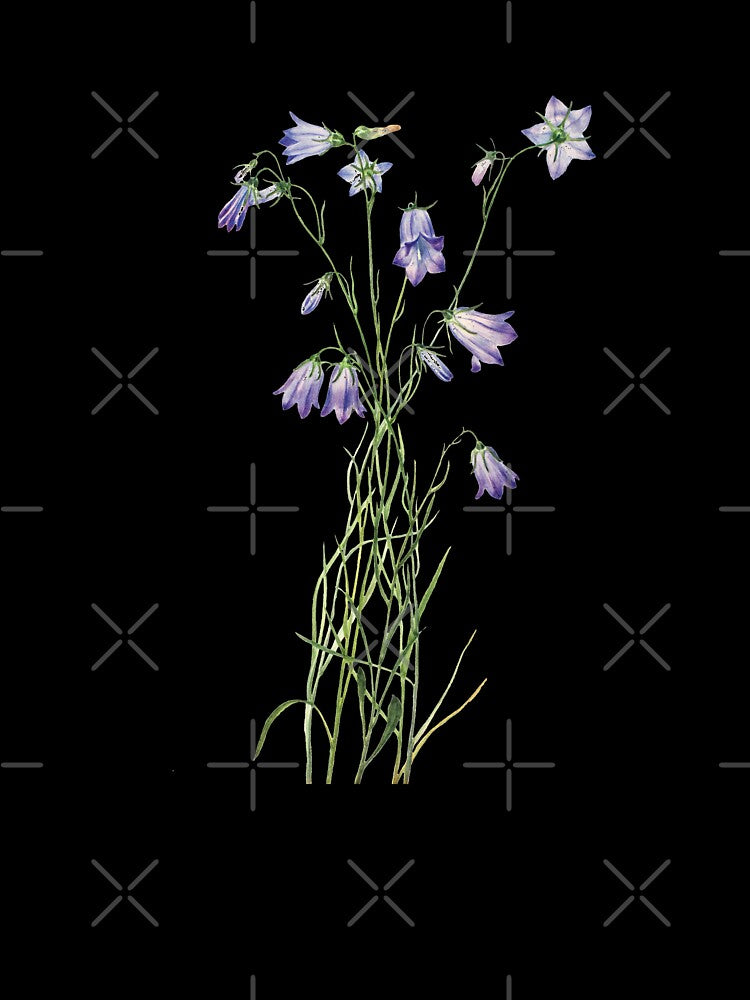 Wildflowers, Purple Flowers, Iris by grandlovely