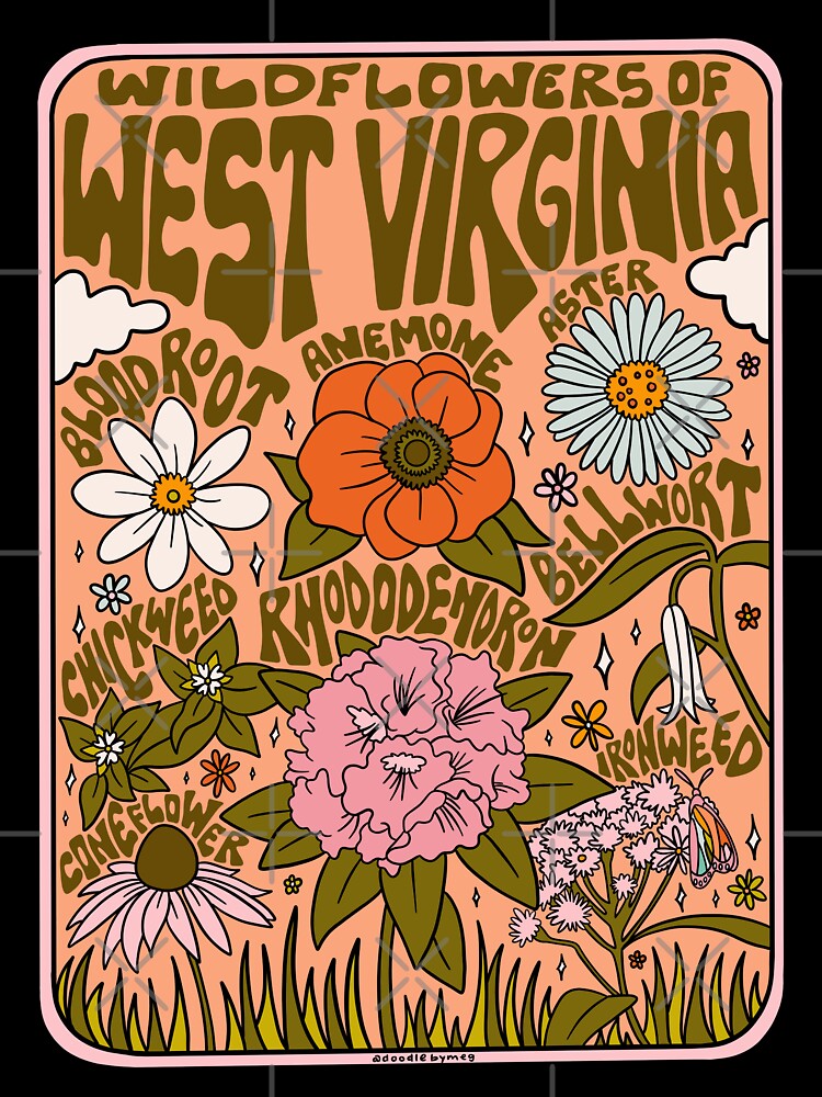 West Virginia Wildflowers by doodlebymeg