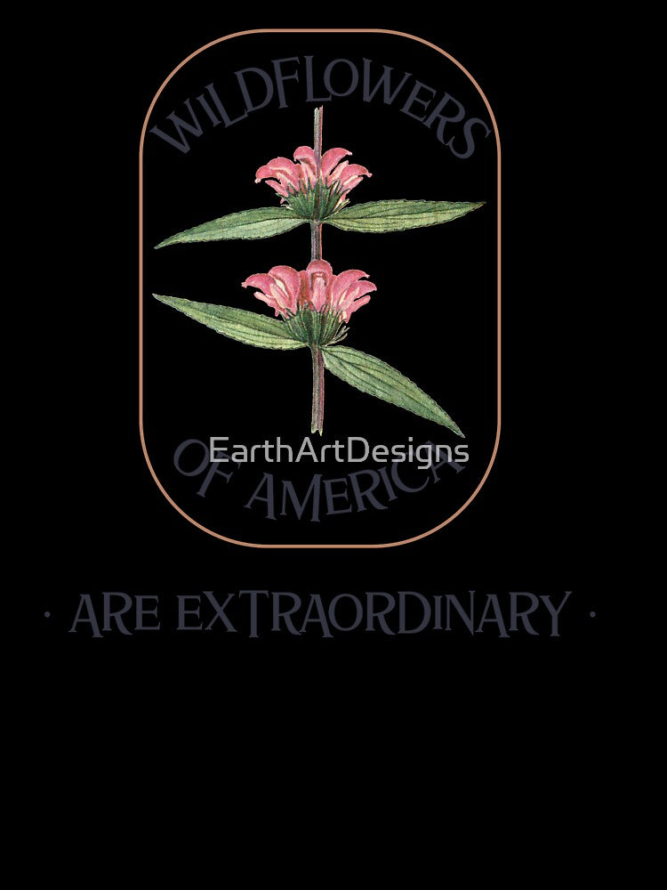 Wildflowers Of America Are Extraordinary Colorful Design by EarthArtDesigns