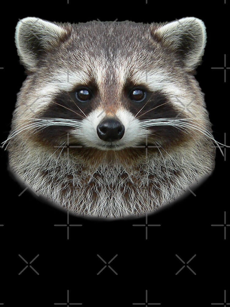 Raccoon Face, Cute Raccoon Lover by madeulaugh