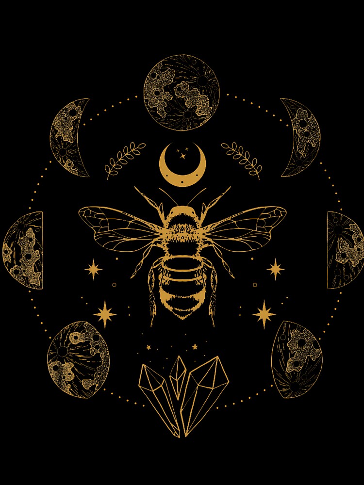 Cottagecore Bee Moon Phases Goblincore by alborssamkehs
