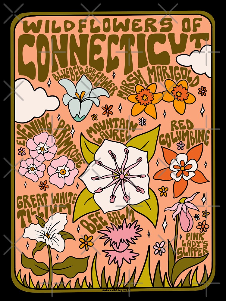 Connecticut Wildflowers by doodlebymeg
