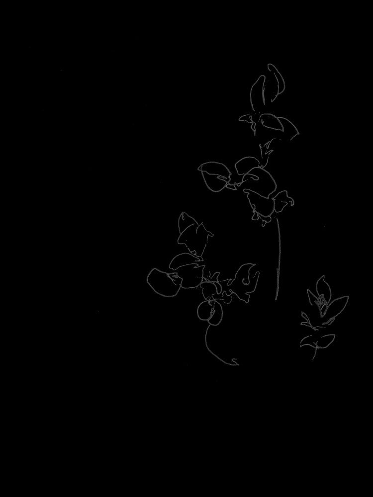 Wildflowers by thesehands