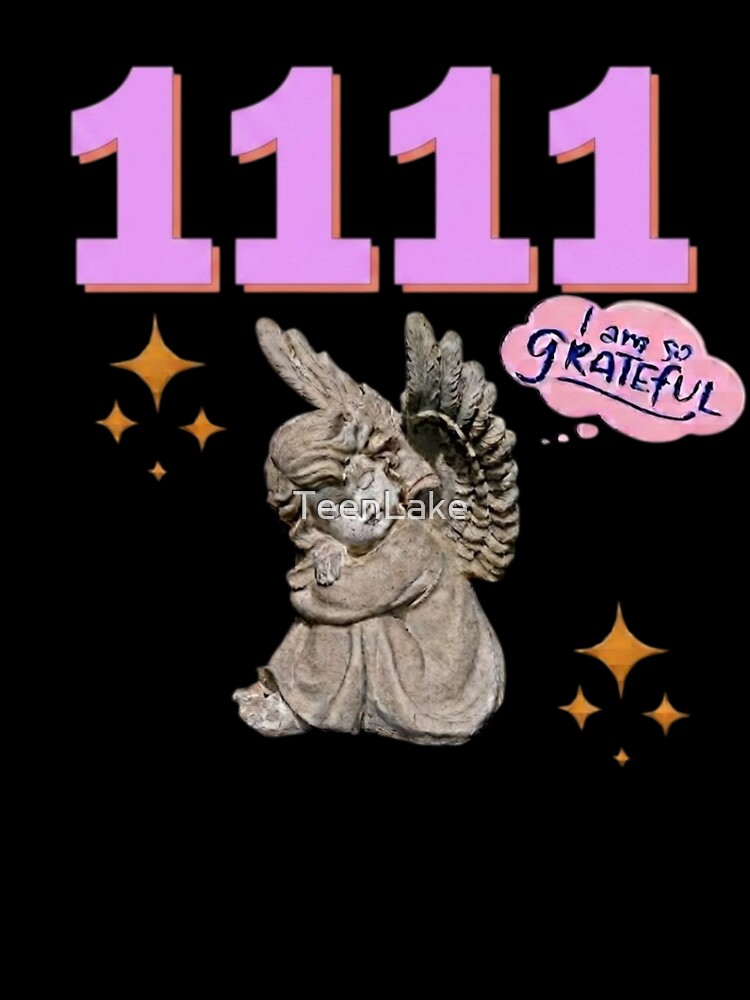 1111 Angel Number Design | Aesthetic | Manifest | Manifestation | Grateful | Angels | Spiritual | Gratitude Journals | Pink |  tshirts, mugs, stickers, posters by TeenLake