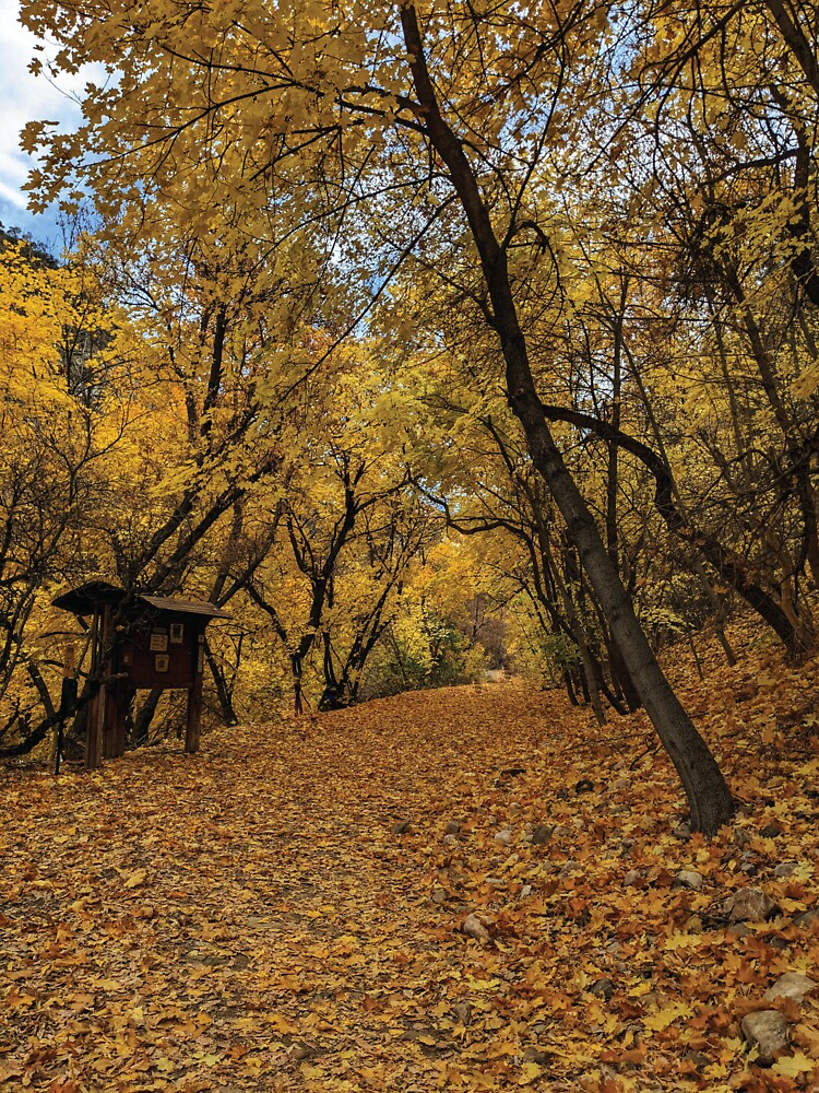 Fall Path 1 by Mythic Meraki