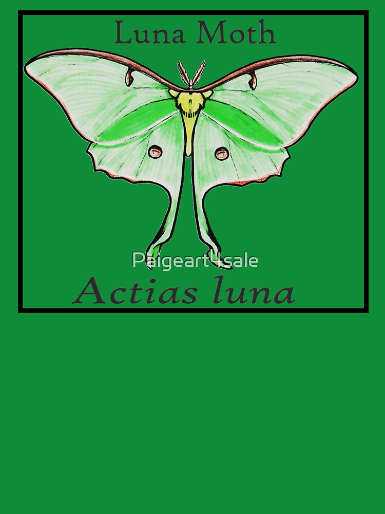 Luna Moth Labeled by Paigeart4sale
