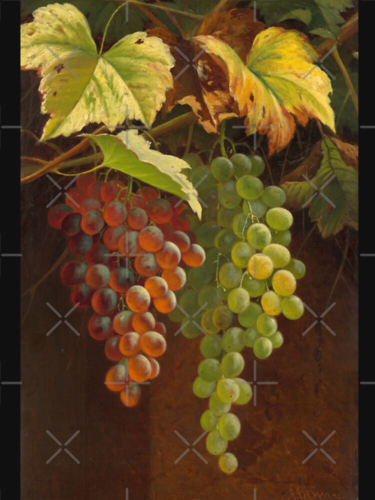 FINE WINE by THE GOOD FIND