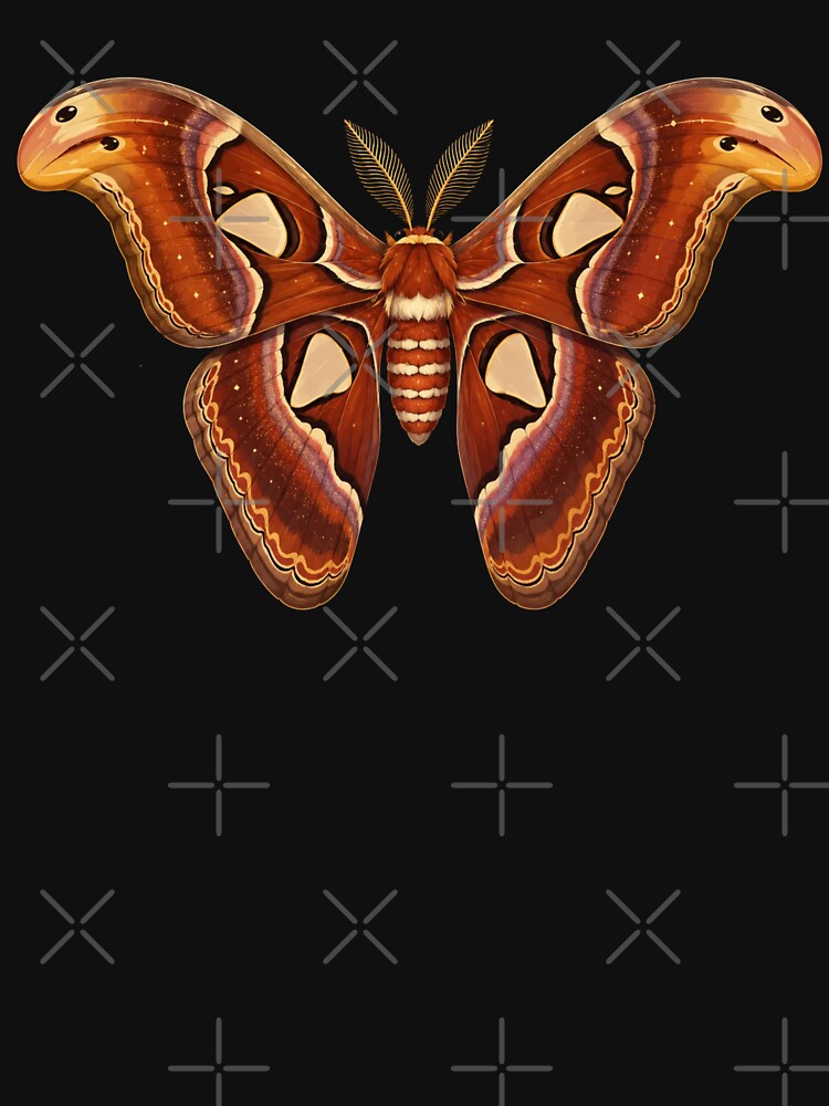 Atlas Moth | Attacus atlas by Harpagann