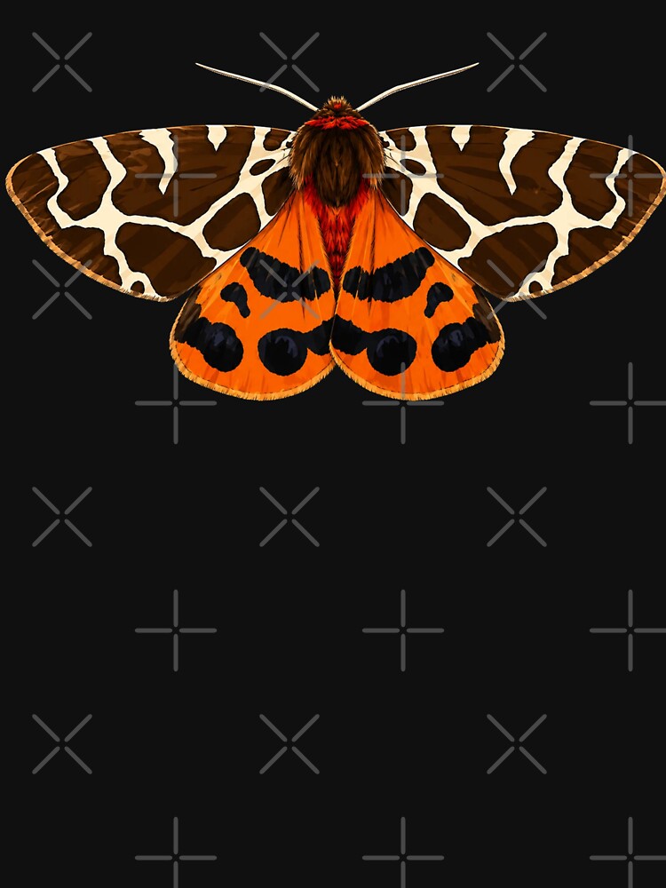 Garden Tiger Moth Arctia caja Cartoon Style by Harpagann