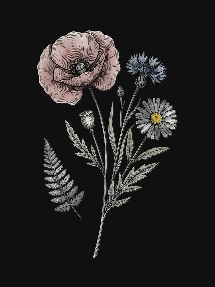 Vintage Botanical Wildflower Illustration  | Cottagecore Floral Art | Antique Botanical Specimen | Nature Lover Gift by Field Study Botanicals