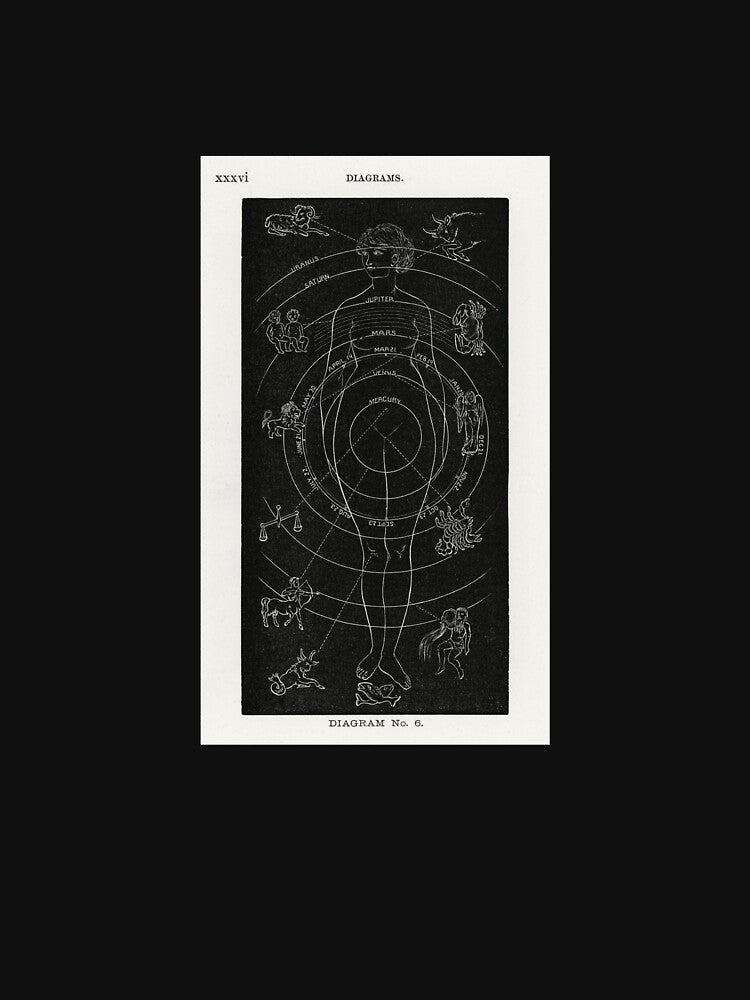 Solar Biology by BLDCo