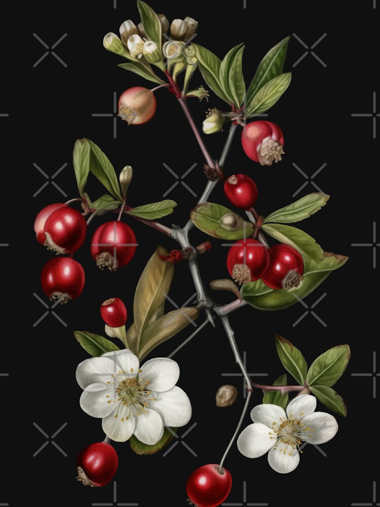 Dark Academia Botanical Rosehip by Enyr
