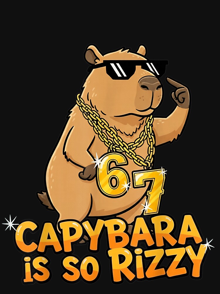 Funny Capybara is So Rizzy Meme 67 Art for Men Women Kids , Capybara Gift Lover by DZIRI NAJAT