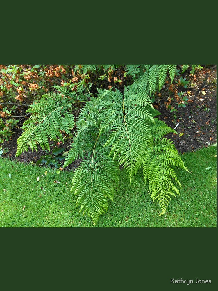 A Touch of Green - Beautiful Ferns by Kathryn Jones