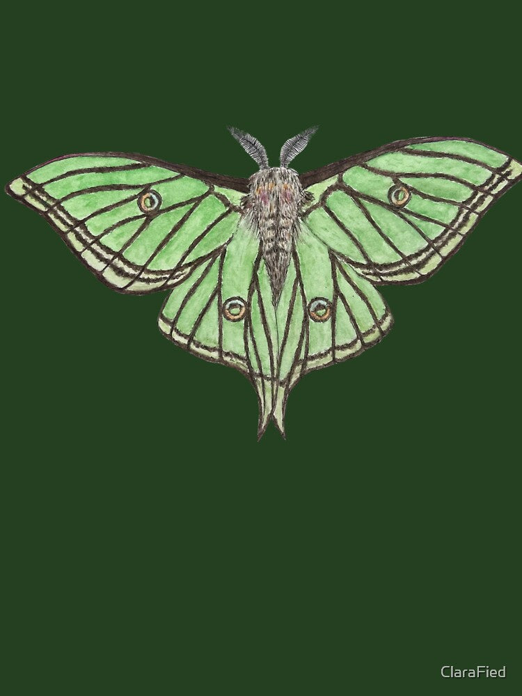 The Spanish Moon Moth (Graellsia isabellae) by ClaraFied