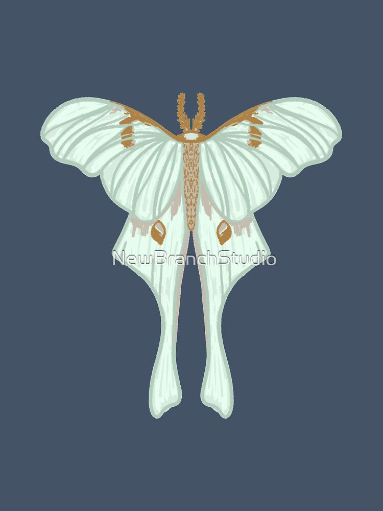 Hand drawn Luna moth by NewBranchStudio